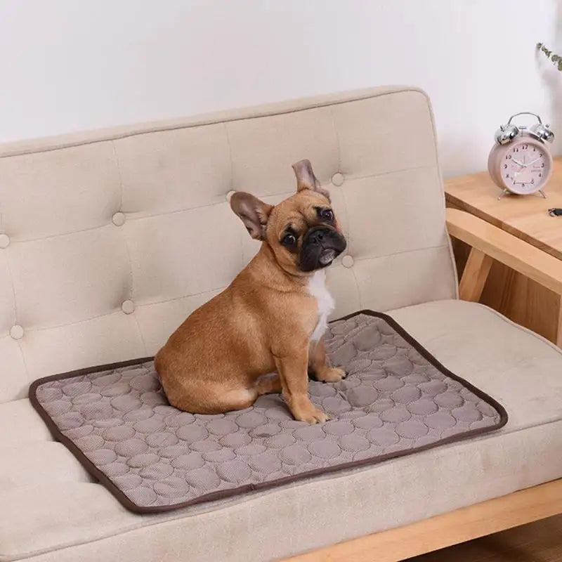 Cooling Dog Mat for Summer – Washable Pet Bed Pad for Small, Medium, Large Dogs & Cats – Breathable, Lightweight Sofa Blanket