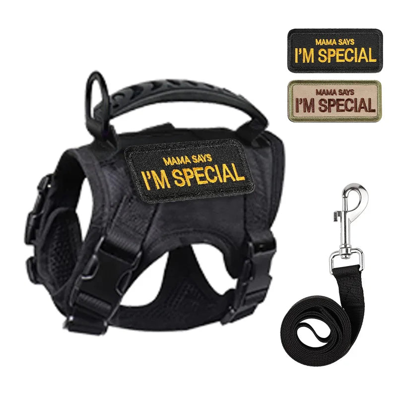 Escape-Proof Cat & Small Dog Harness Set – Adjustable Tactical Harness with Leash & Control Handle