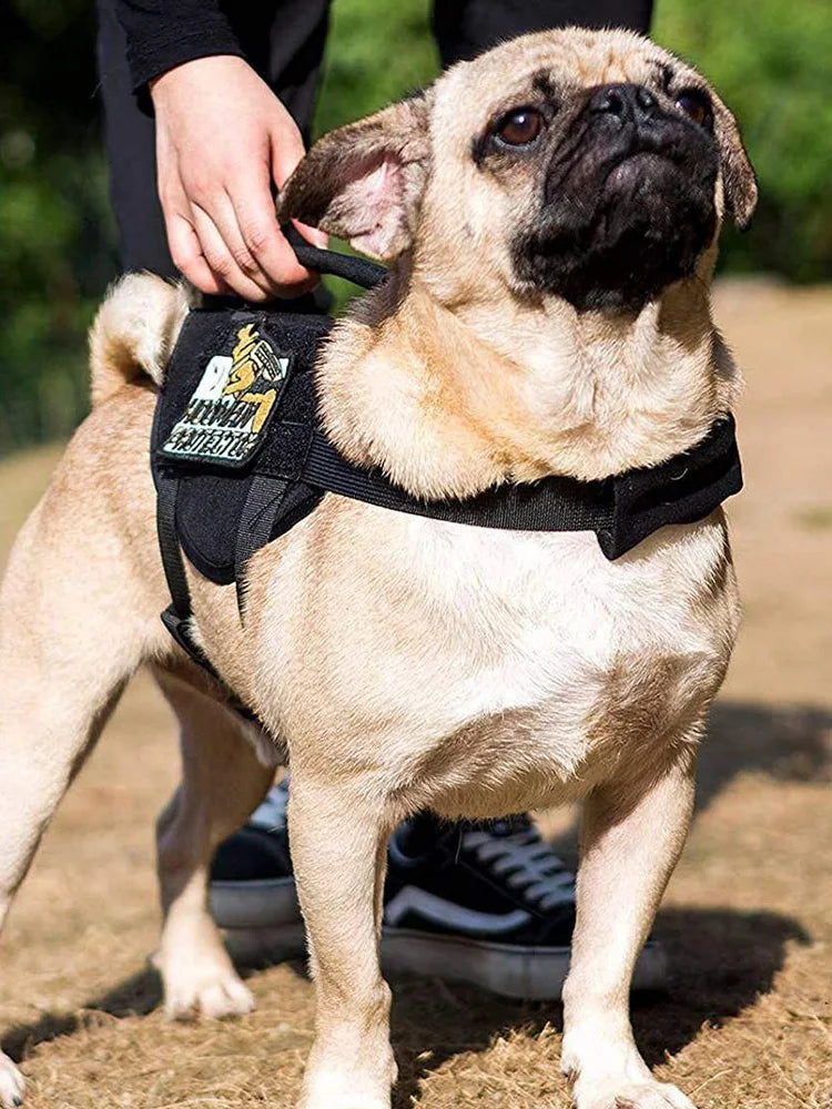 Escape-Proof Cat & Small Dog Harness Set – Adjustable Tactical Harness with Leash & Control Handle