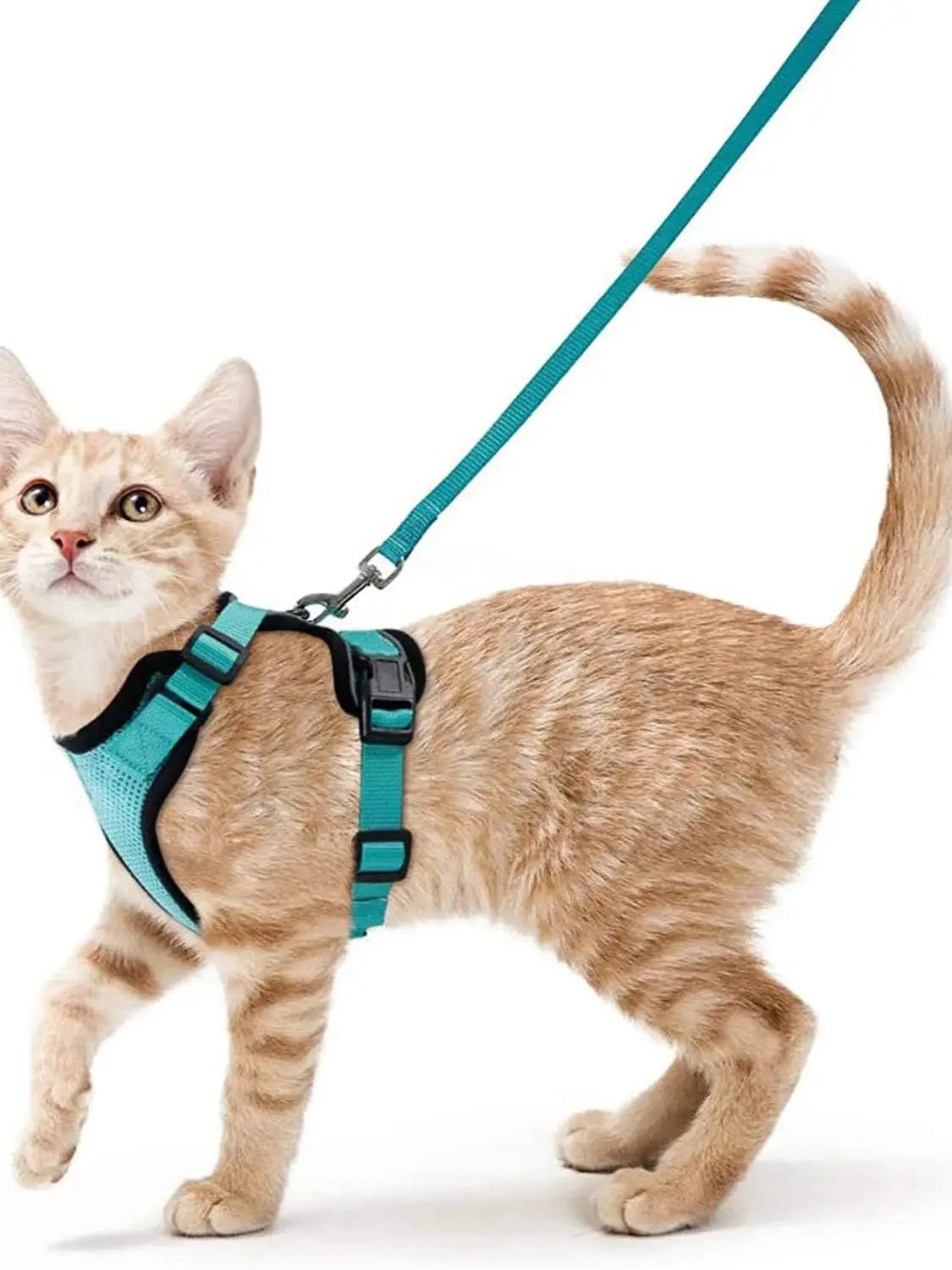 Cat Harness & Leash Set – Escape-Proof Soft Adjustable Vest Harness for Easy Walking & Control