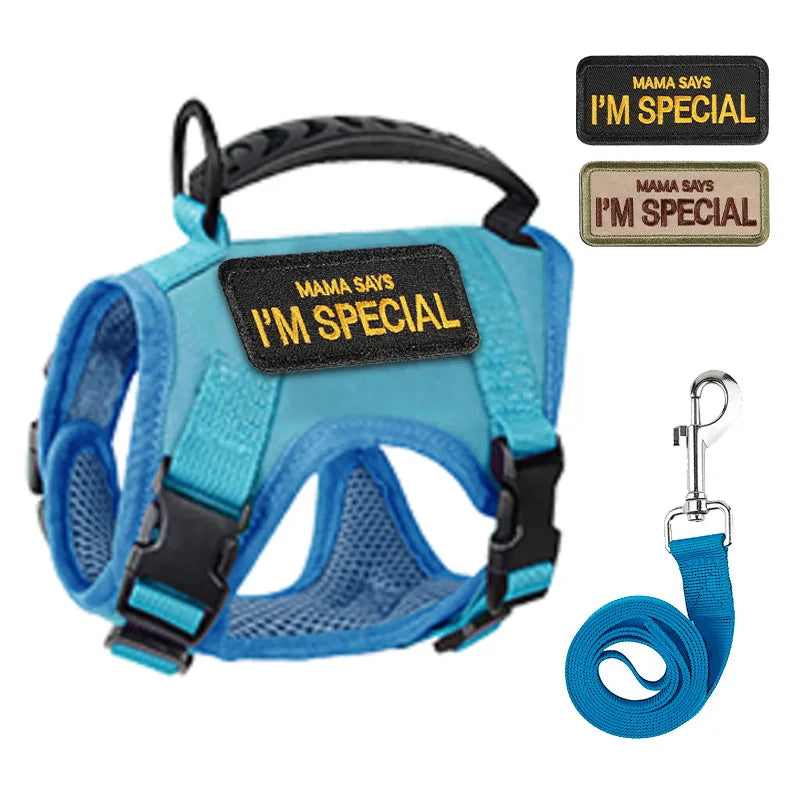 Escape-Proof Cat & Small Dog Harness Set – Adjustable Tactical Harness with Leash & Control Handle