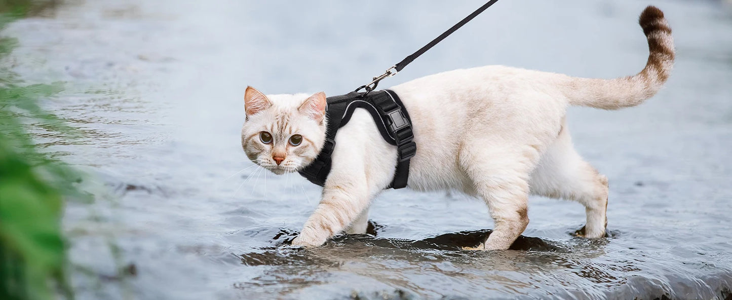 Cat Harness & Leash Set – Escape-Proof Soft Adjustable Vest Harness for Easy Walking & Control