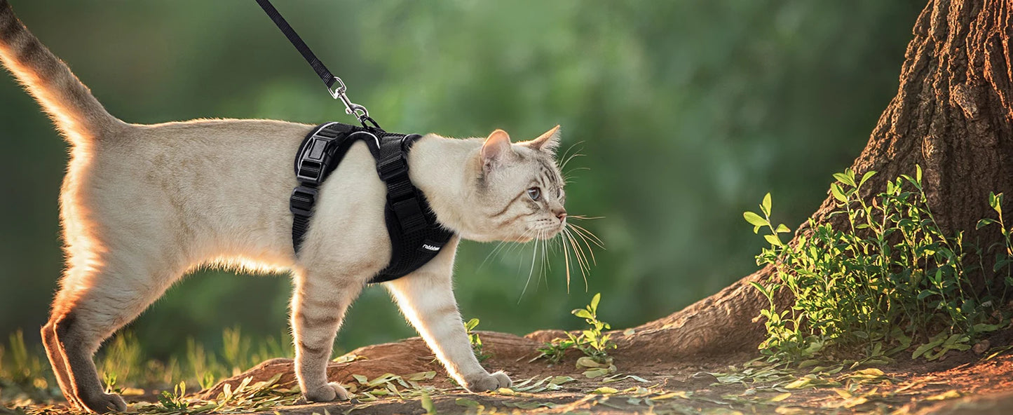 Cat Harness & Leash Set – Escape-Proof Soft Adjustable Vest Harness for Easy Walking & Control