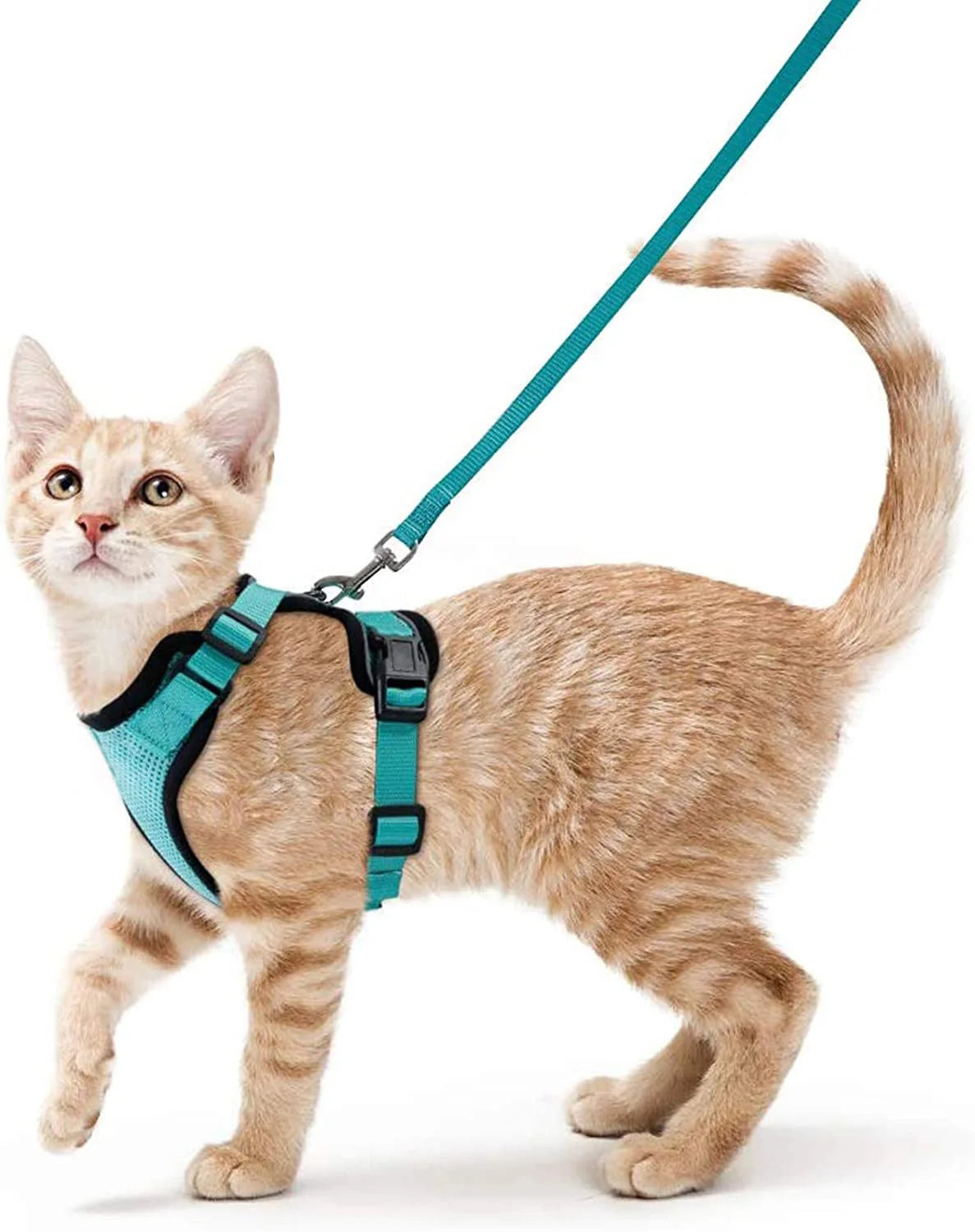 Cat Harness & Leash Set – Escape-Proof Soft Adjustable Vest Harness for Easy Walking & Control