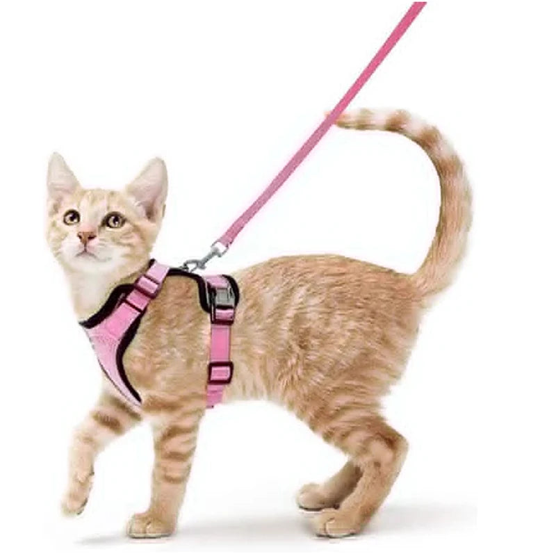 Cat Harness & Leash Set – Escape-Proof Soft Adjustable Vest Harness for Easy Walking & Control
