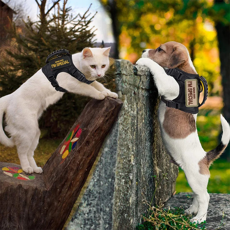 Escape-Proof Cat & Small Dog Harness Set – Adjustable Tactical Harness with Leash & Control Handle