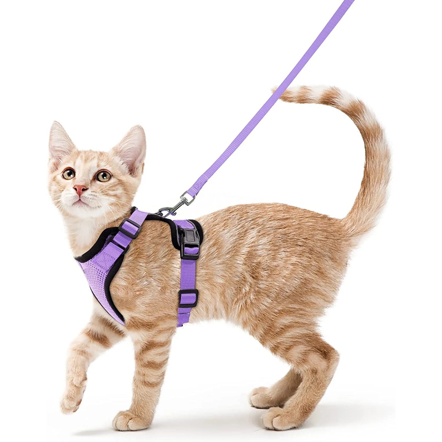 Cat Harness & Leash Set – Escape-Proof Soft Adjustable Vest Harness for Easy Walking & Control