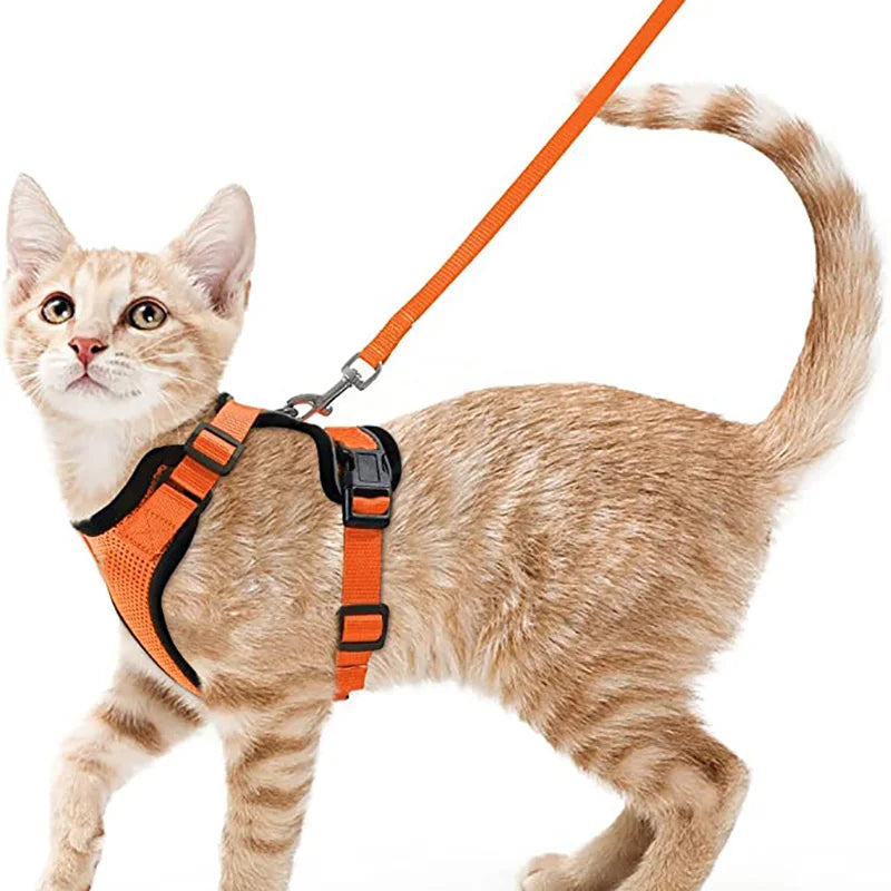 Cat Harness & Leash Set – Escape-Proof Soft Adjustable Vest Harness for Easy Walking & Control