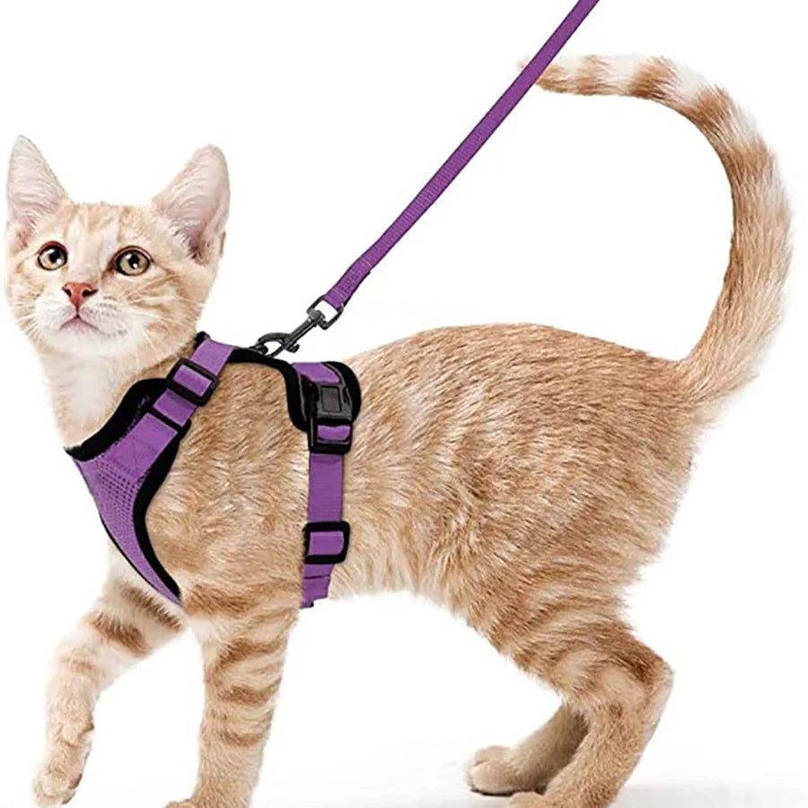 Cat Harness & Leash Set – Escape-Proof Soft Adjustable Vest Harness for Easy Walking & Control