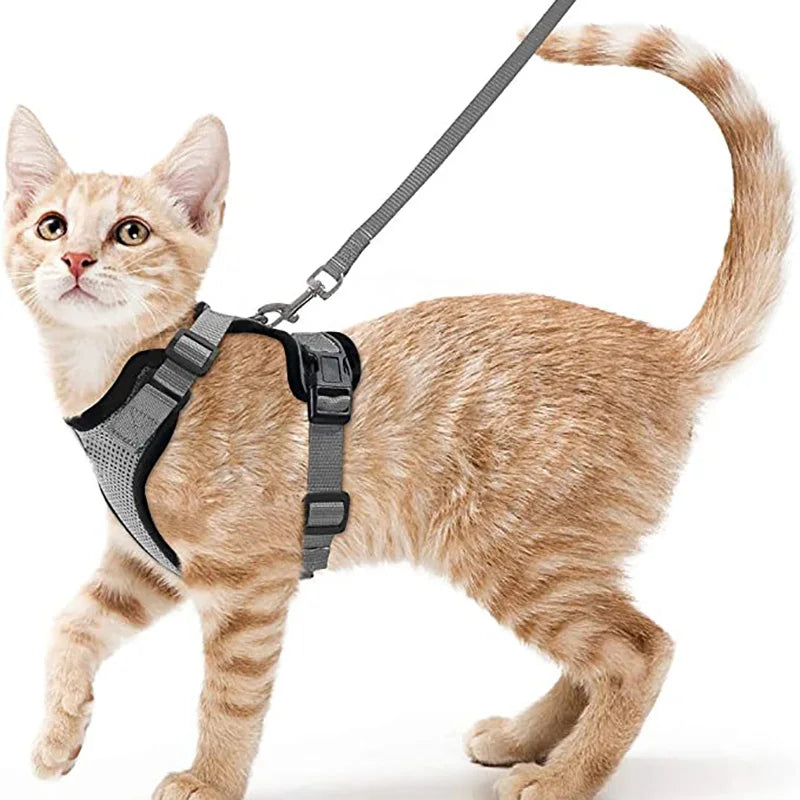 Cat Harness & Leash Set – Escape-Proof Soft Adjustable Vest Harness for Easy Walking & Control