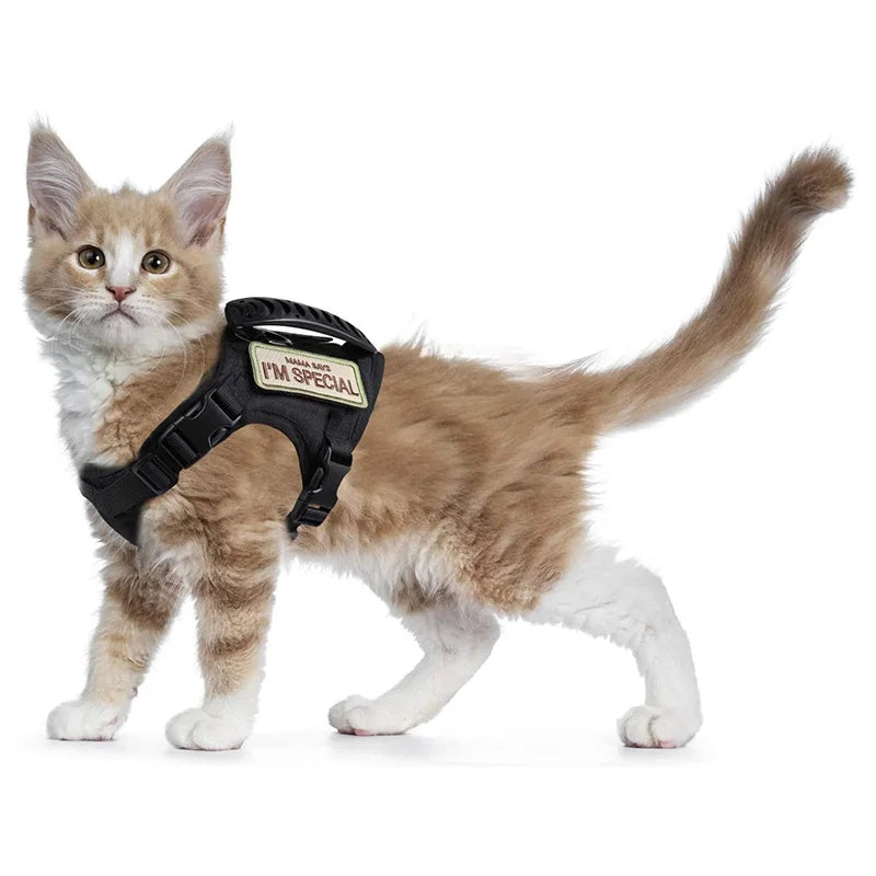 Escape-Proof Cat & Small Dog Harness Set – Adjustable Tactical Harness with Leash & Control Handle