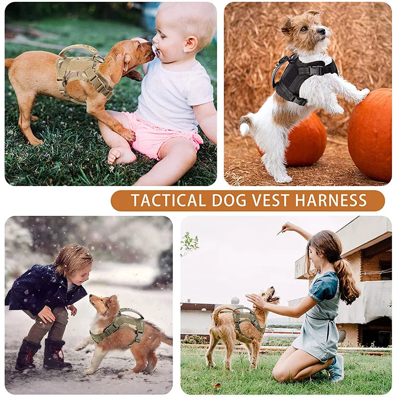 Escape-Proof Cat & Small Dog Harness Set – Adjustable Tactical Harness with Leash & Control Handle