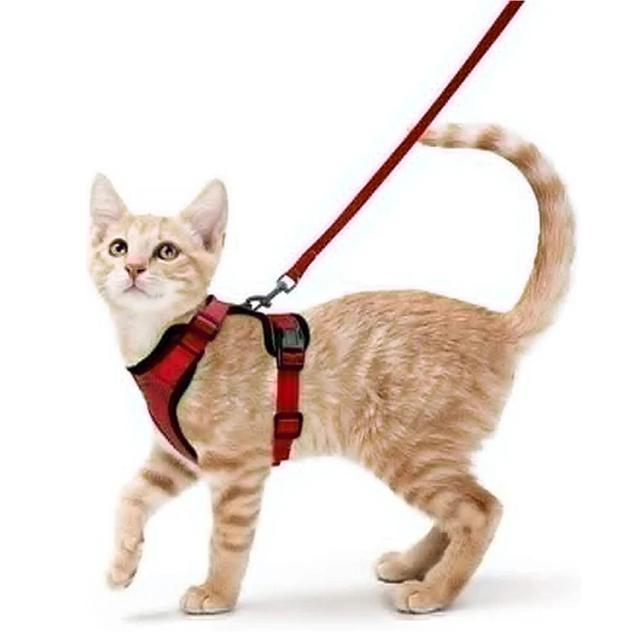 Cat Harness & Leash Set – Escape-Proof Soft Adjustable Vest Harness for Easy Walking & Control