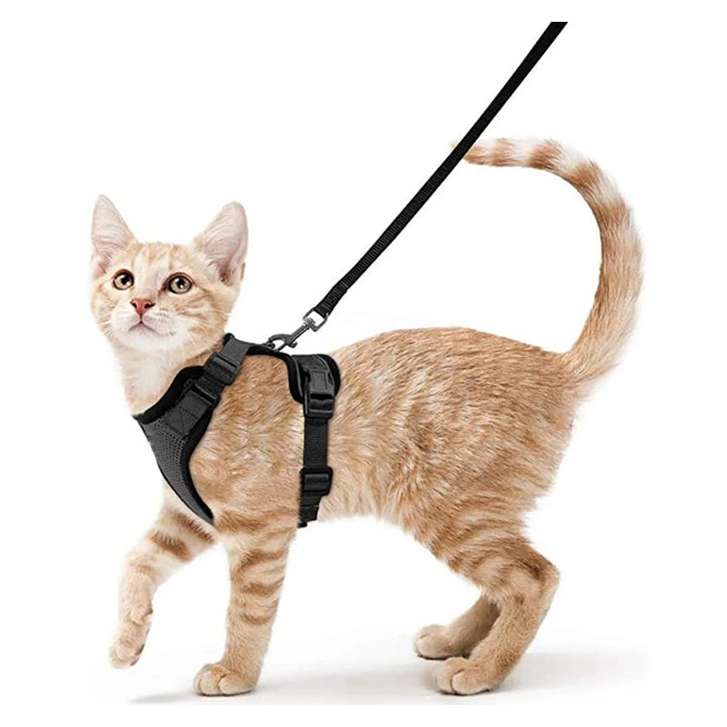 Cat Harness & Leash Set – Escape-Proof Soft Adjustable Vest Harness for Easy Walking & Control