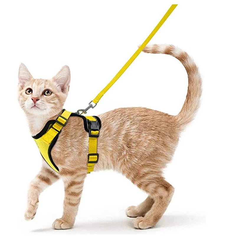 Cat Harness & Leash Set – Escape-Proof Soft Adjustable Vest Harness for Easy Walking & Control