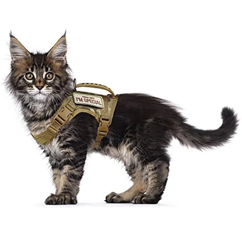 Escape-Proof Cat & Small Dog Harness Set – Adjustable Tactical Harness with Leash & Control Handle