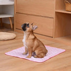 Cooling Dog Mat for Summer – Breathable & Comfortable Pet Bed Pad for Dogs and Cats Washable, Lightweight, and Foldable Mat for Indoor and Outdoor Use