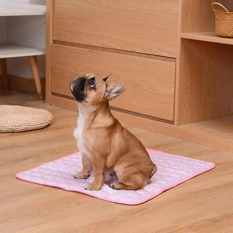 Cooling Dog Mat for Summer – Breathable & Comfortable Pet Bed Pad for Dogs and Cats Washable, Lightweight, and Foldable Mat for Indoor and Outdoor Use