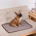 Cooling Dog Mat for Summer – Breathable & Comfortable Pet Bed Pad for Dogs and Cats Washable, Lightweight, and Foldable Mat for Indoor and Outdoor Use