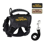 Escape-Proof Cat & Small Dog Harness Set – Adjustable Tactical Harness with Leash & Control Handle
