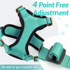 Cat Harness & Leash Set – Escape-Proof Soft Adjustable Vest Harness for Easy Walking & Control
