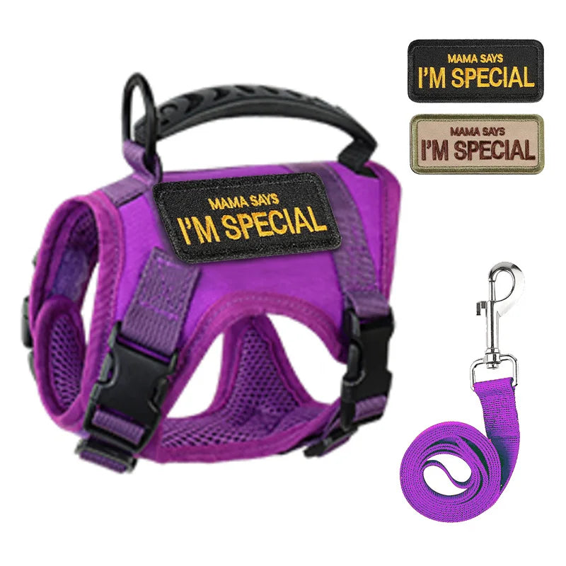 Escape-Proof Cat & Small Dog Harness Set – Adjustable Tactical Harness with Leash & Control Handle