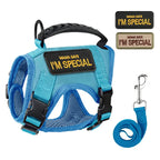 Escape-Proof Cat & Small Dog Harness Set – Adjustable Tactical Harness with Leash & Control Handle