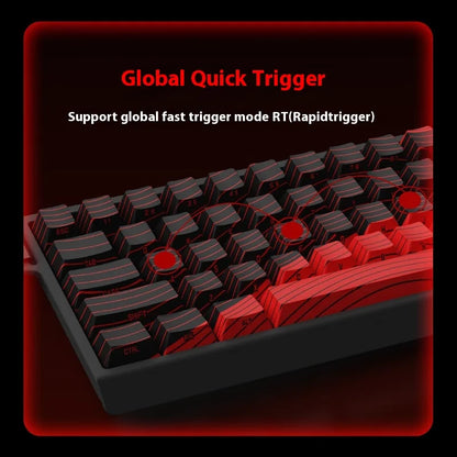 MADLIONS Mad60 Mad68 HE Mechanical Keyboard Magnetic Switch Madcatz Mad60he Wired Game Keyboard Rapid Trigger Custom Keyboard