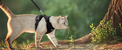 Cat Harness & Leash Set – Escape-Proof Soft Adjustable Vest Harness for Easy Walking & Control