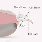 Professional Pet Nail Clippers with LED Light – Paw Grooming Trimmer for Dogs, Cats & Small Animals