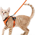 Cat Harness & Leash Set – Escape-Proof Soft Adjustable Vest Harness for Easy Walking & Control