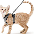 Cat Harness & Leash Set – Escape-Proof Soft Adjustable Vest Harness for Easy Walking & Control