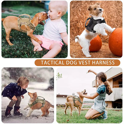 Escape-Proof Cat & Small Dog Harness Set – Adjustable Tactical Harness with Leash & Control Handle